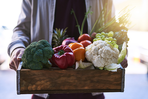 A person holding a crate of fresh low carb fruits and vegetables