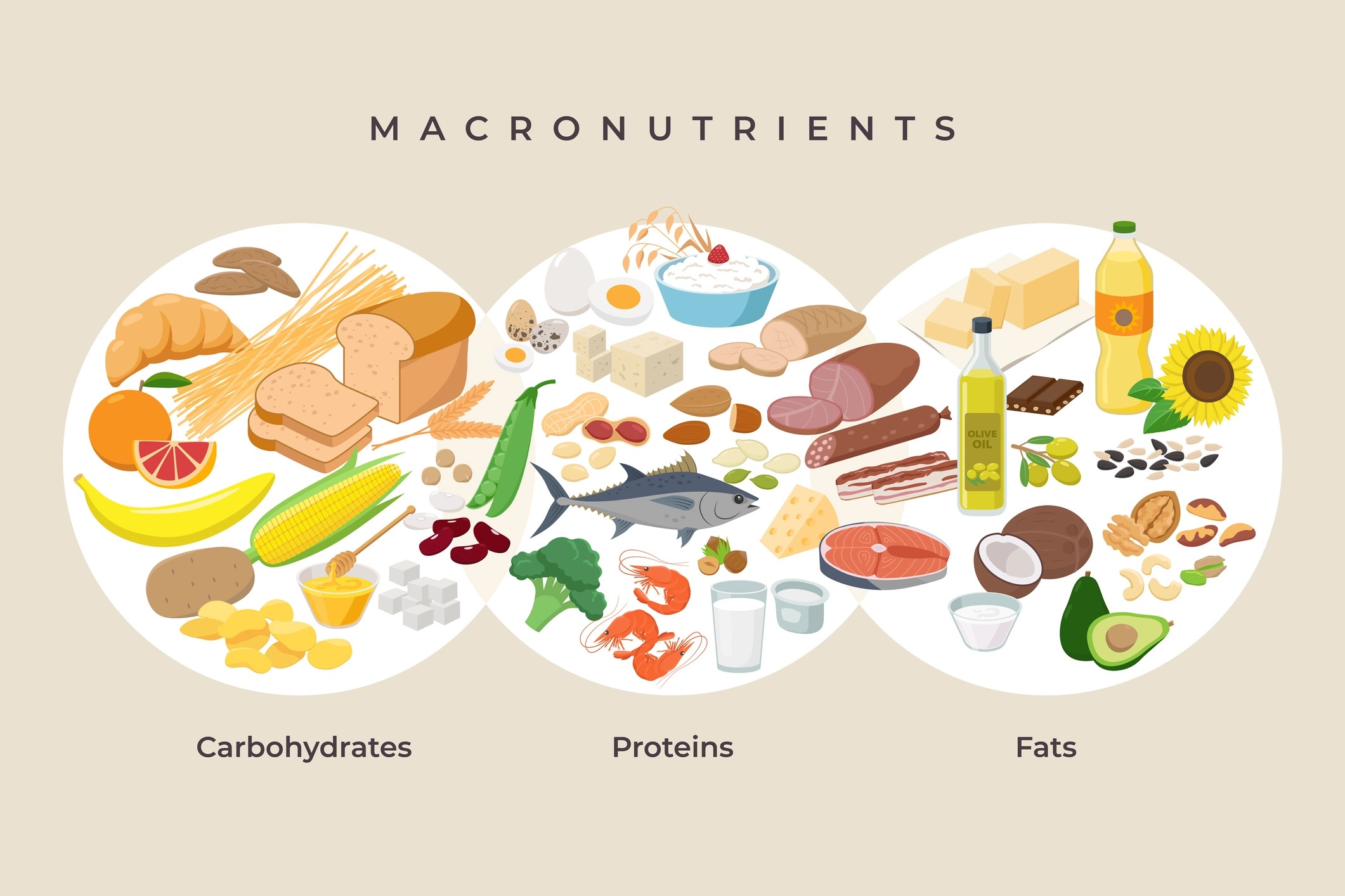 The Most Effective Weight Loss Diet And The Winner Is Atkins the-most-effective-weight-loss-diet-and-the-winner-is-atkins